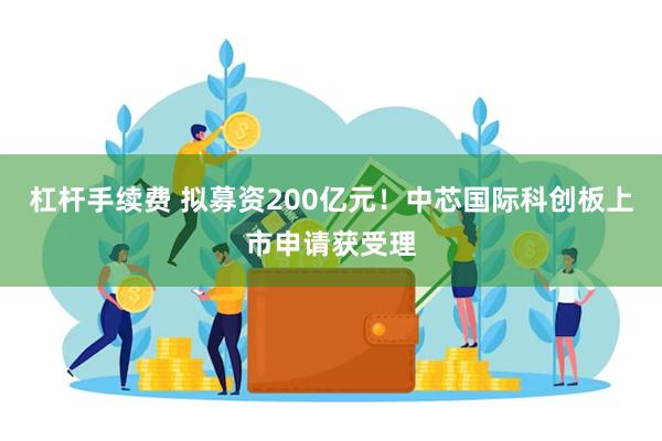 杠杆手续费 拟募资200亿元！中芯国际科创板上市申请获受理