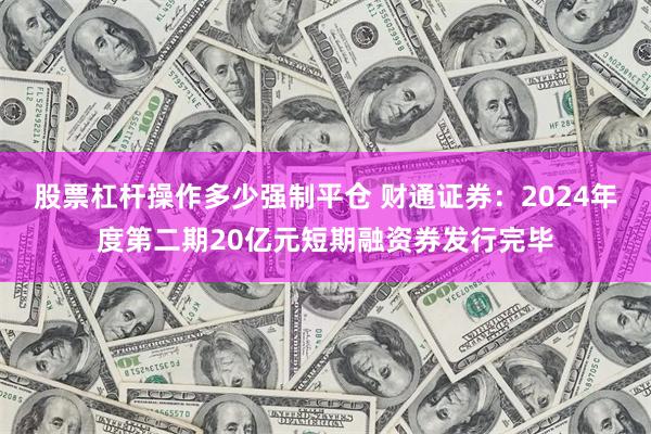 股票杠杆操作多少强制平仓 财通证券：2024年度第二期20亿元短期融资券发行完毕