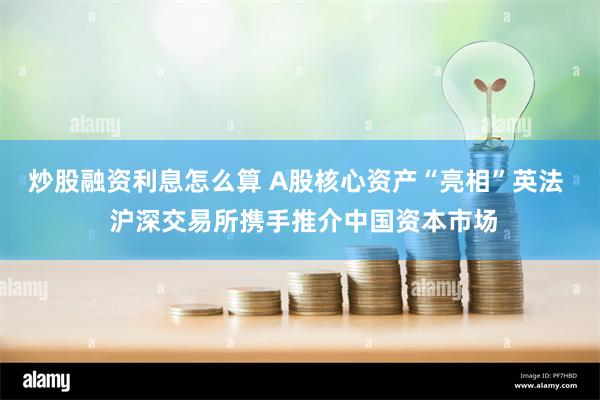 炒股融资利息怎么算 A股核心资产“亮相”英法  沪深交易所携手推介中国资本市场