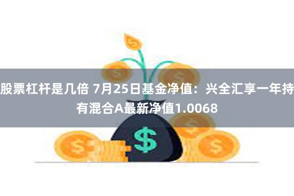 股票杠杆是几倍 7月25日基金净值：兴全汇享一年持有混合A最新净值1.0068