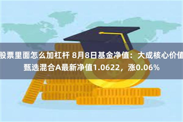 股票里面怎么加杠杆 8月8日基金净值：大成核心价值甄选混合A最新净值1.0622，涨0.06%