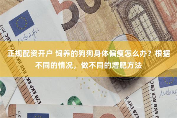 正规配资开户 饲养的狗狗身体偏瘦怎么办？根据不同的情况，做不同的增肥方法