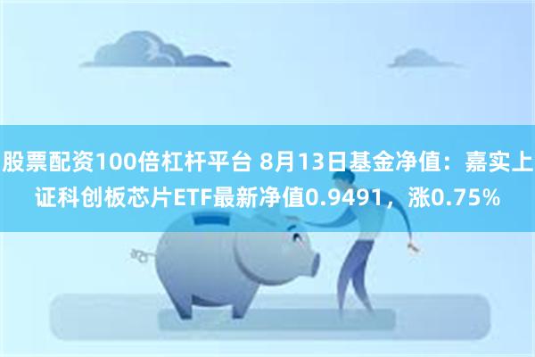 股票配资100倍杠杆平台 8月13日基金净值：嘉实上证科创板芯片ETF最新净值0.9491，涨0.75%