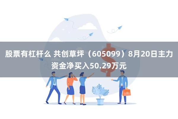 股票有杠杆么 共创草坪（605099）8月20日主力资金净买入50.29万元