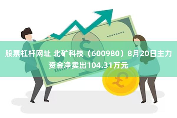 股票杠杆网址 北矿科技（600980）8月20日主力资金净卖出104.31万元