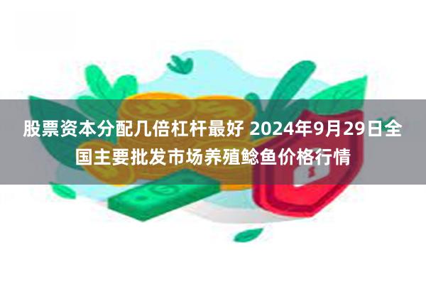 股票资本分配几倍杠杆最好 2024年9月29日全国主要批发市场养殖鲶鱼价格行情