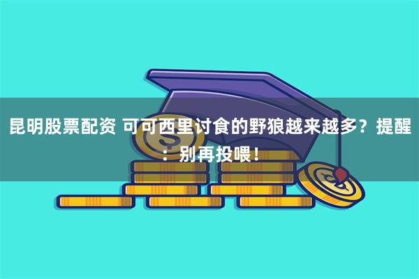 昆明股票配资 可可西里讨食的野狼越来越多？提醒：别再投喂！