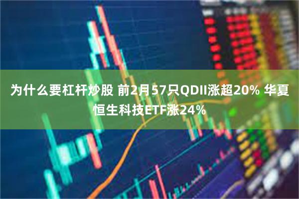 为什么要杠杆炒股 前2月57只QDII涨超20% 华夏恒生科技ETF涨24%